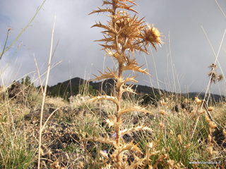 Monte_Nero_degli_Zappini - 23-10-2012 10-16-43.JPG